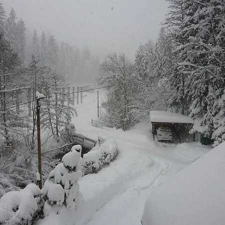 Schwarzwald Total Διαμέρισμα *