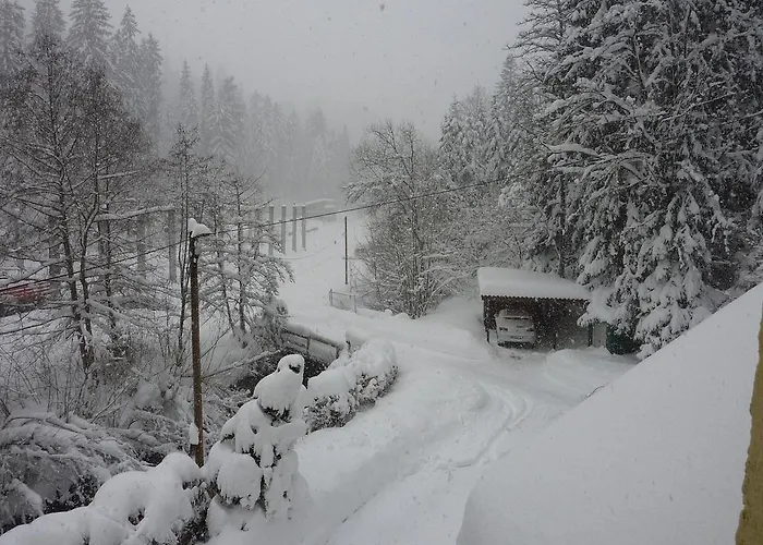 托塔尔黑森林公寓 公寓 *