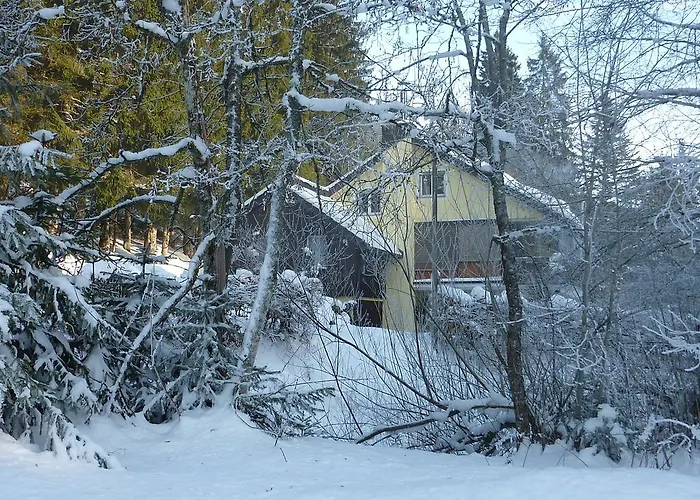 公寓 托塔尔黑森林公寓 弗罗伊登施塔特