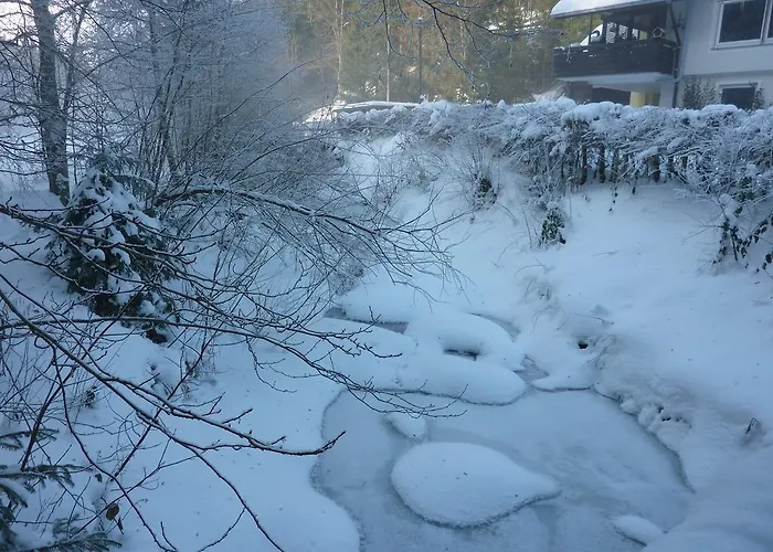 托塔尔黑森林公寓 *