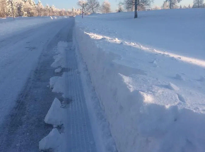 托塔尔黑森林公寓 公寓