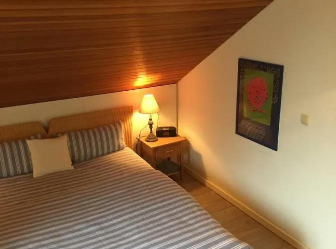 公寓 托塔尔黑森林公寓 弗罗伊登施塔特